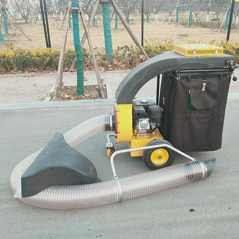 Mini Vehicular-Driven Petrol-P - đánh giá và giá Power Tools Vacuum