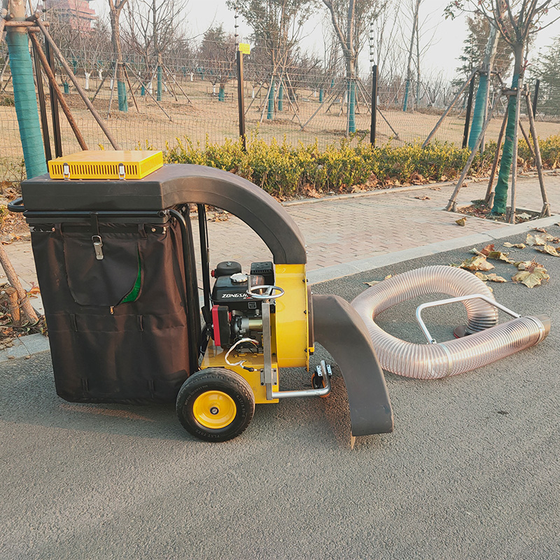 Mini Vehicular-Driven Petrol-P - đánh giá và giá Power Tools Vacuum