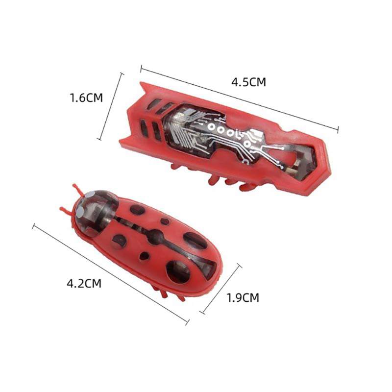 1PC Electric Bug Cat Toy Autom - đánh giá và giá Power Tools Cat